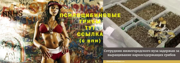 PSILOCYBIN Заволжье