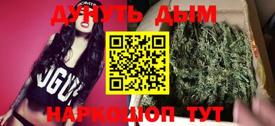 стафф Дубна