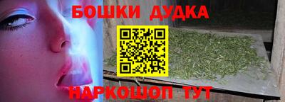стафф Дубна