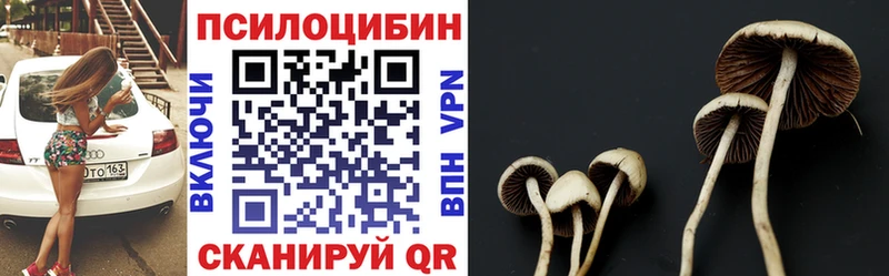 магазин    Коряжма  Псилоцибиновые грибы прущие грибы 