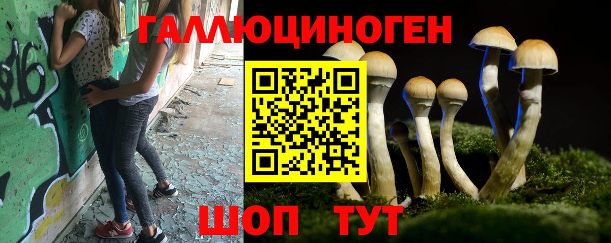 Галлюциногенные грибы мицелий  Псилоцибиновые грибы GOLDEN TEACHER  Вход с VPN  Коряжма 