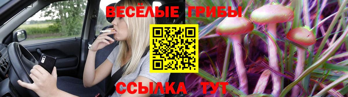 Галлюциногенные грибы GOLDEN TEACHER Коряжма